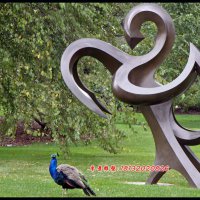 公园抽象铜雕