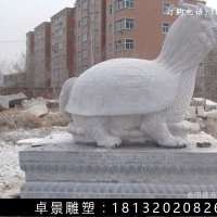 龙龟石雕，汉白玉龙龟雕塑