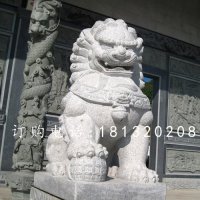 汉白玉石狮子雕塑，石狮子雕塑