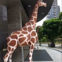 玻璃钢长颈鹿雕塑，玻璃钢仿真动物雕塑