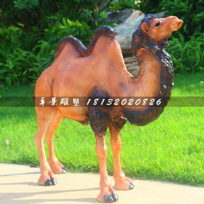骆驼雕塑，动物玻璃钢动物 (4)