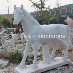 小馬駒石雕,漢白玉小馬駒石雕