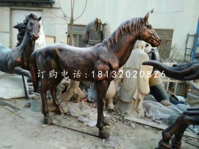 玻璃钢仿铜马雕塑，动物雕塑 (4)