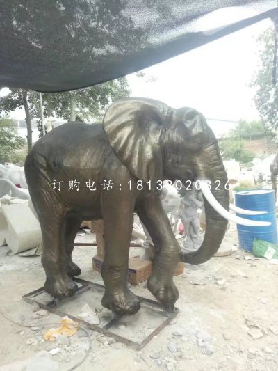 玻璃钢仿铜大象雕塑，动物雕塑 (1)