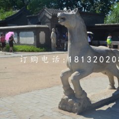 小馬石雕,公園動物石雕