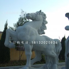 石雕馬,廣場動物石雕