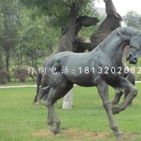 公园马雕塑，铜雕马