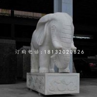 大理石大象雕塑企业动物石雕