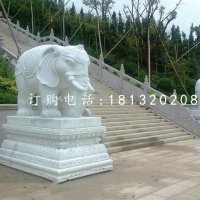 汉白玉大象石雕寺庙动物雕塑
