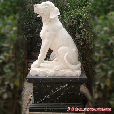 公园石雕动物狗3