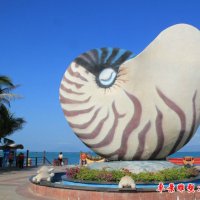 大型石雕海螺