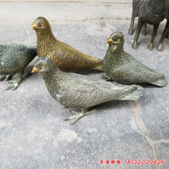 銅雕和平鴿