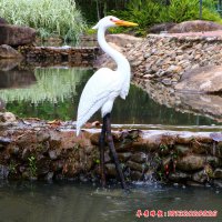 景区玻璃钢白鹭雕塑 