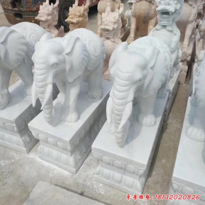 汉白玉大象动物石雕 (2)