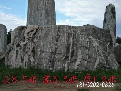 景观石石雕 (54)